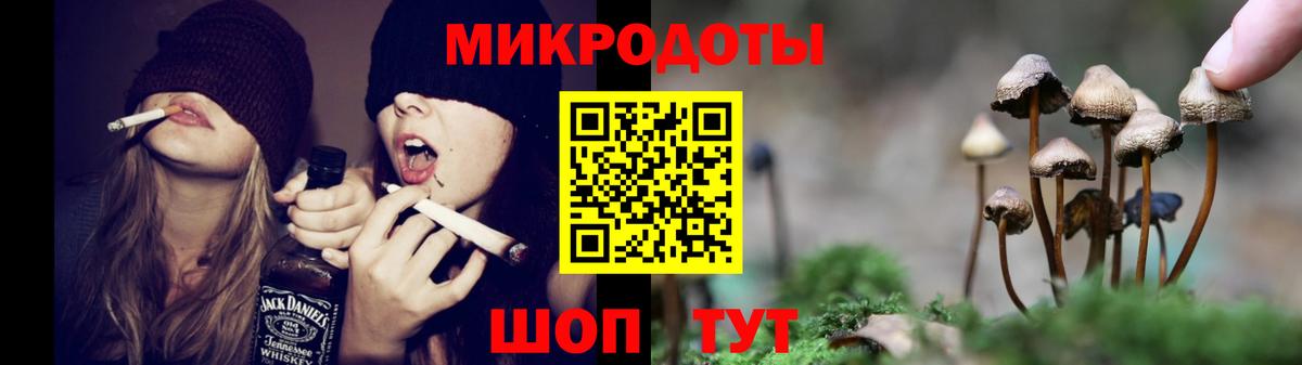 Удомля  Псилоцибиновые грибы прущие грибы  Вход с VPN  даркнет сайт  Псилоцибиновые грибы GOLDEN TEACHER 